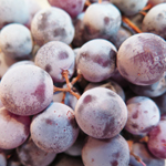 iqf frozen concord grape
