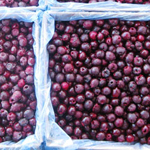 iqf frozen dark sweet cherry