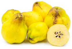 bulk quince juice concentrate suppliers